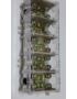 ODGAŁĘŹNIK LZ 5X35/16 Z OSŁONĄ PAWBOL E.4102 $